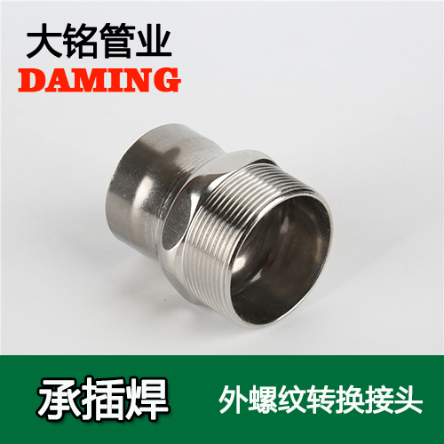 DN65*2-1/2 承插焊接式激情69蜜桃一区二区三区外螺紋轉換接頭（304 316L）