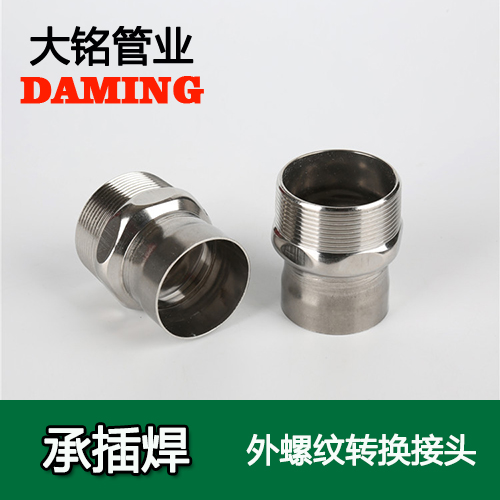 DN50*2 承插焊接式激情69蜜桃一区二区三区外螺紋轉換接頭（304 316L）