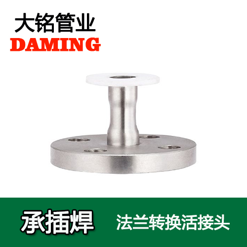 DN300 承插焊接式激情69蜜桃一区二区三区法蘭轉換直接頭（304 316L）