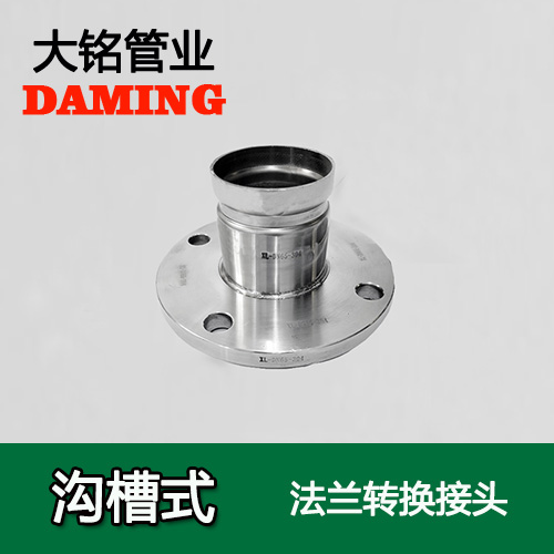 DN250 溝槽式激情69蜜桃一区二区三区法蘭轉換直通接頭（304 316L）