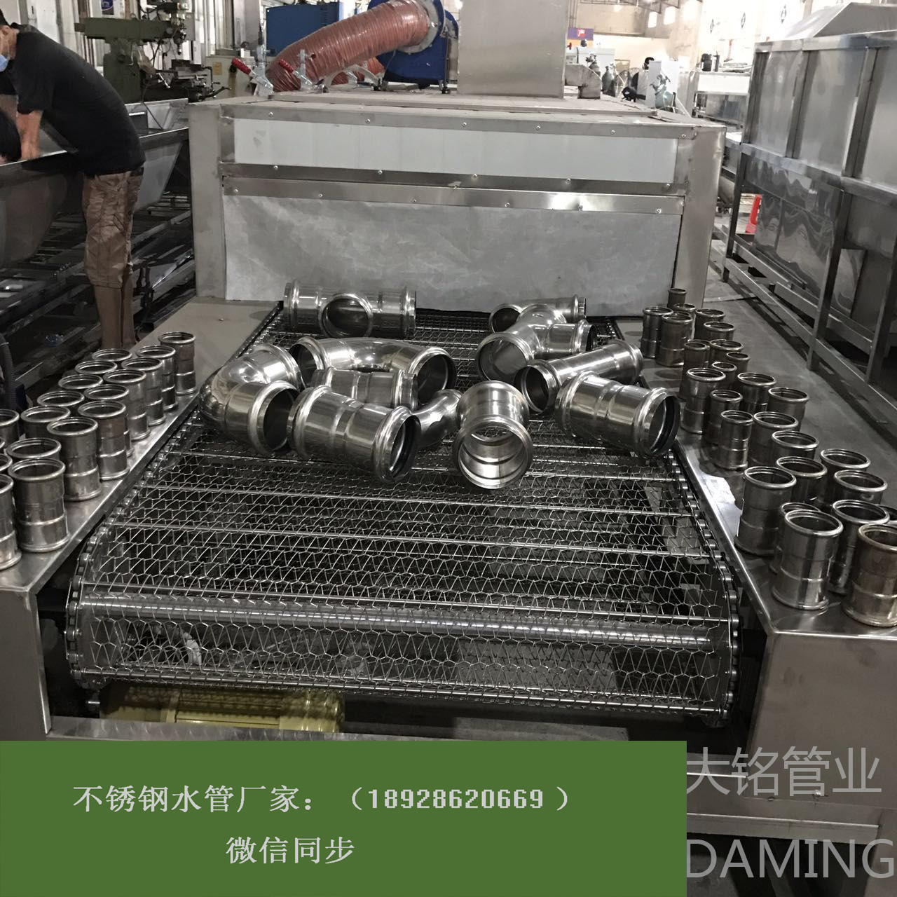 佛山承插焊激情69蜜桃一区二区三区蜜桃APP污版下载