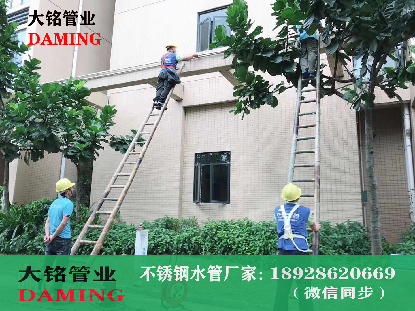 304激情69蜜桃一区二区三区給水管