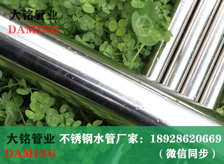 316薄壁激情69蜜桃一区二区三区水管