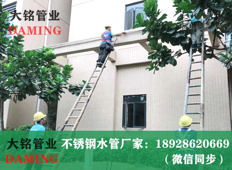 薄壁激情69蜜桃一区二区三区給水管
