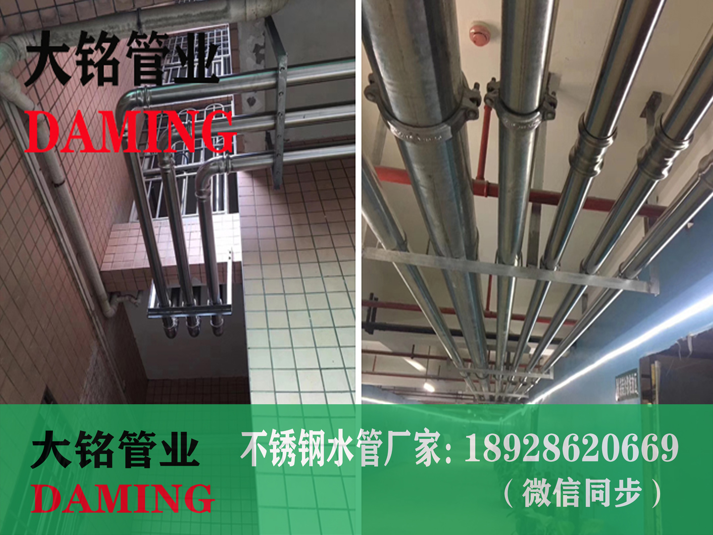 304激情69蜜桃一区二区三区溝槽蜜桃APP污版下载