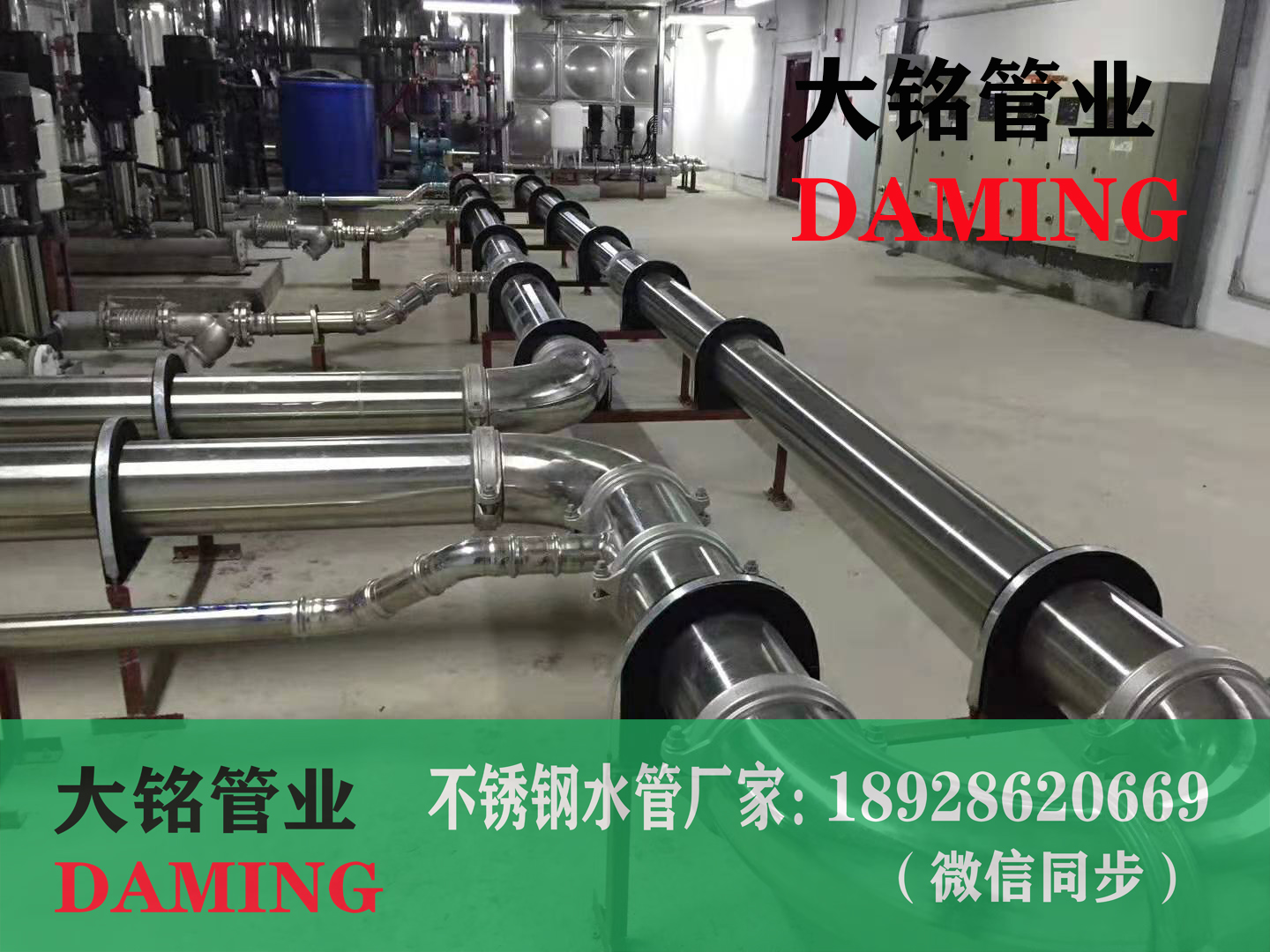 304溝槽式蜜桃APP污版下载