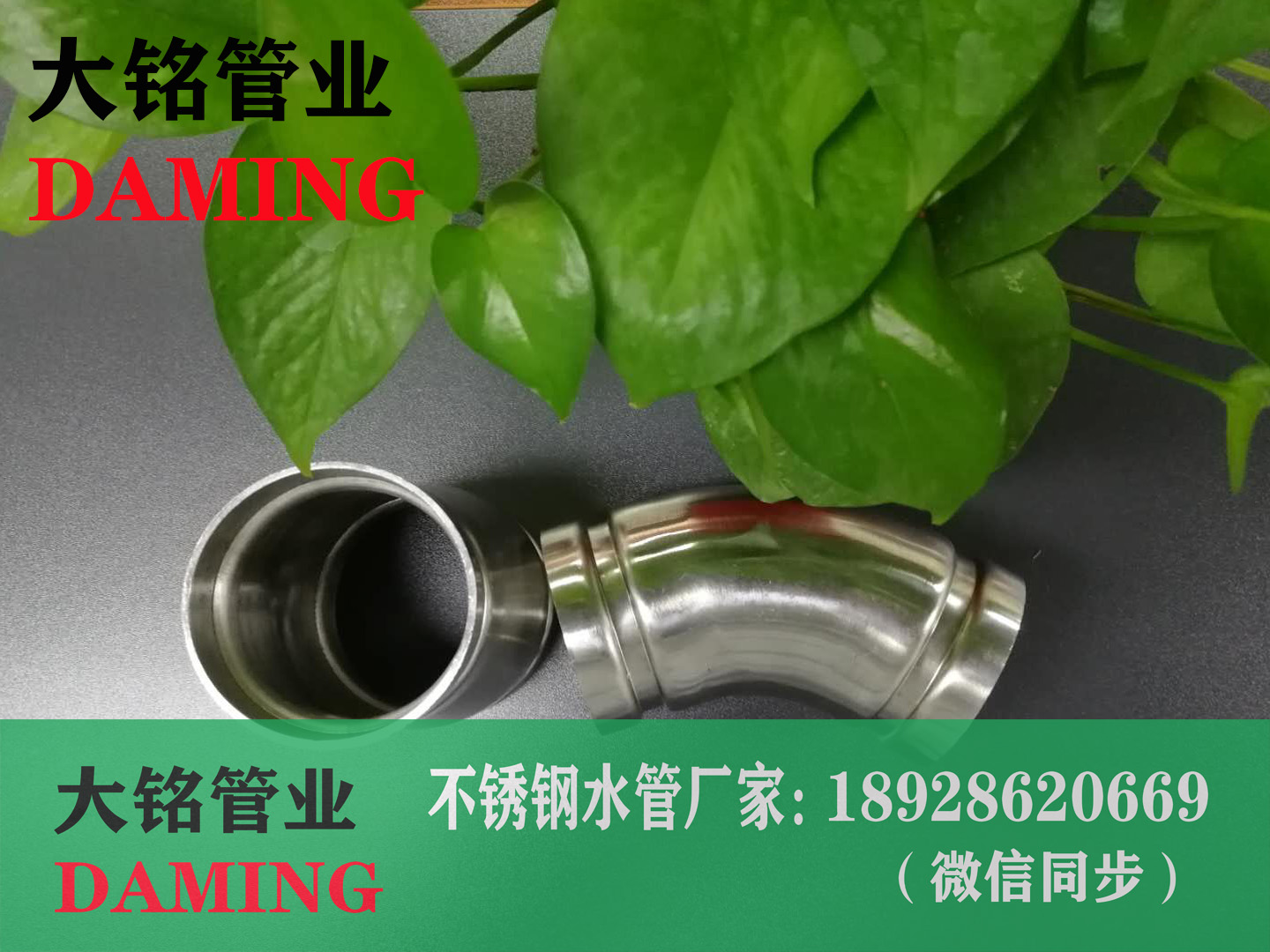 激情69蜜桃一区二区三区溝槽蜜桃APP污版下载