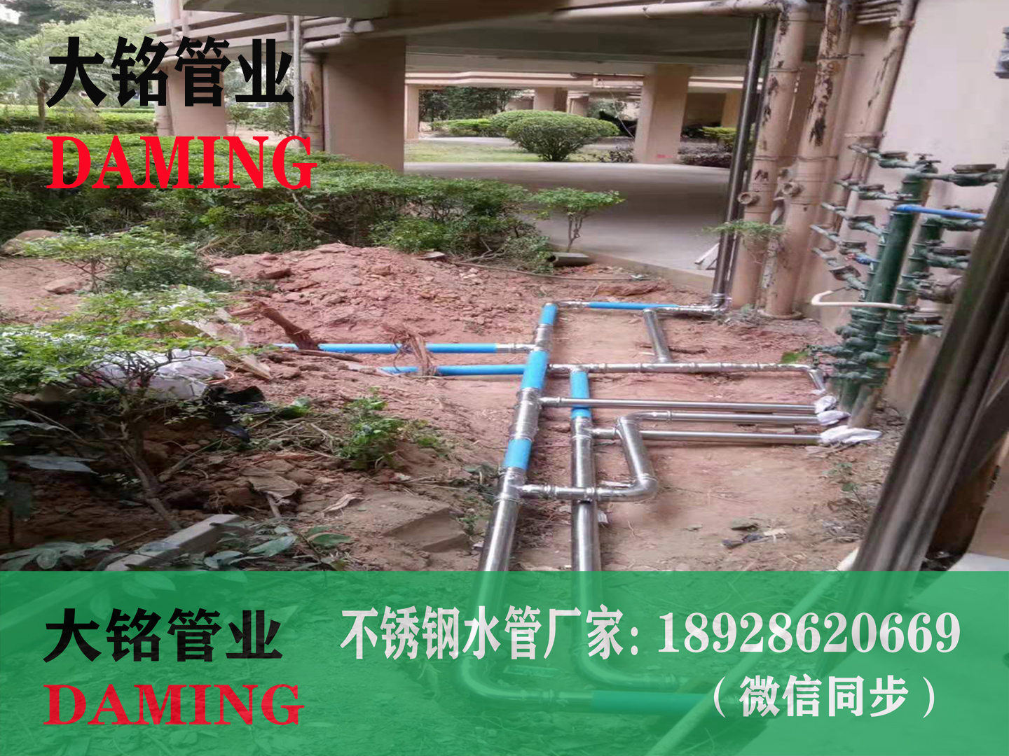  佛山SUS304激情69蜜桃一区二区三区卡壓彎頭dn32