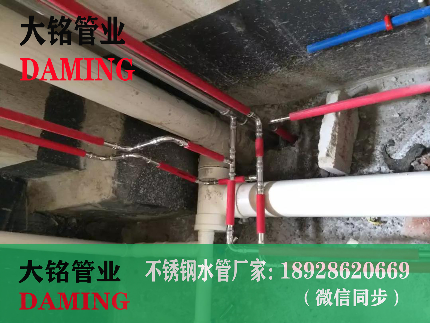 304激情69蜜桃一区二区三区雙卡壓蜜桃APP污版下载